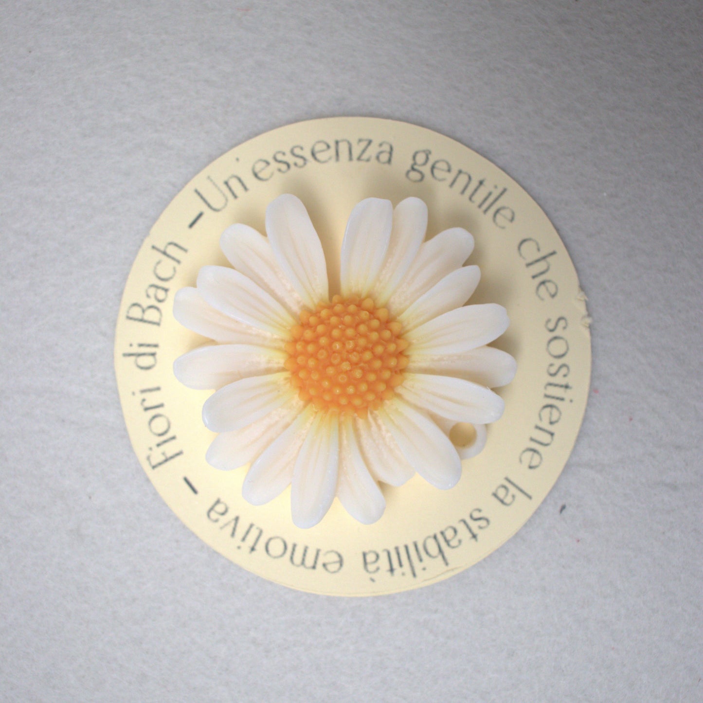 Tart in cera di soia naturale