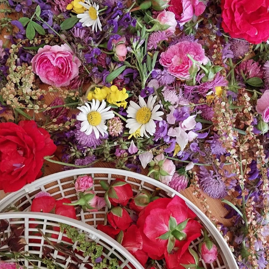 Candela incanto di prato